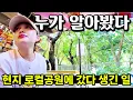 Download Lagu 관광객은 절대 가지 않는 현지 공원에 갔는데 누가 아내를 알아봤다? 😯 로컬데이트 중 생긴 일