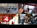Police hunt for Genesee County couple after 95 pets found dead and alive in grisly squalor