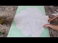 HOW TO MAKE GIANT SHELL BACKDROP