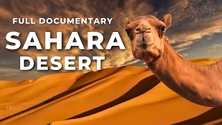 SAHARA DESERT A Land Of Extremes Full Documentary 