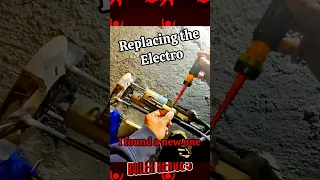                                                                                                    دندنها