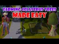 Quick Guide to Farming Celastrus Trees in OSRS