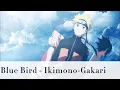 Download Lagu Naruto Shippuden OP3 - Blue Bird (Lyric)