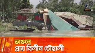 ভাঙনে বিলীনপ্রায় সিরাজগঞ্জের চৌহালী | Maasranga News