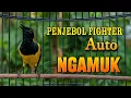 Lagu AHLI BIKIN JEBOL FIGHTER SEBENTAR AUTO NGAMUK #sogon #sogongacordor #pancingansogon #sogonmania 