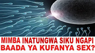 MIMBA INATUNGWA BAADA YA SIKU NGAPI AU MUDA GANI MWANAMKE ANABEBA MIMBA BAADA YA MUDA GANI  MIMBA INATUNGWA BAADA YA SIKU NGAPI AU MUDA GANI MWANAMKE ANABEBA MIMBA BAADA YA MUDA GANI