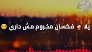 حاله واتس فاجره   حمو بيكا مهرجان حعاملك خصم   دندنها