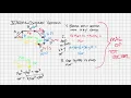 IB Physics SL Unit 1 3 2 - Adding Complex Vectors
