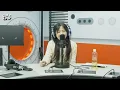 Ryu jihyun (류지현) - To You (내가 네게) | K-Pop Live Session | Super K-Pop