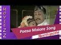 Download Lagu Paasa Malare Song Neethipathi Neethipathi