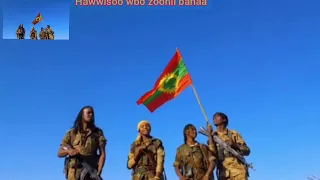 Hawwisoo Wbo Zoonii Bahaa Jaal Murataa Sabaa New Oromo Music 2025 