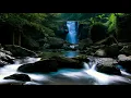 Sacred Spirit - May You Walk In Sunshine