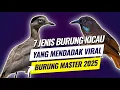 Download Lagu 7 Jenis burung kicau  yang mendadak viral sebagai master kicau 2025