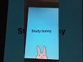 Best app to stay bunny
