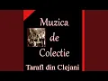 Download Lagu Inimioara Cu Dor Mult