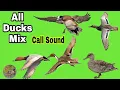 Lagu All ducks mix call sound || Morgabi ki awaz