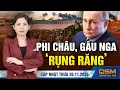 Lagu Ukraine tập kích dữ dội tàu đổ bộ cỡ lớn của Nga. Dầu Nga xuất khẩu sang châu Á giảm mạnh