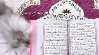 خيرة ام البنين ع شهر 11 اسمعو فديو كامل خلو لايك 