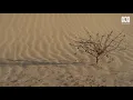 Guided Meditation For Calming The Mind (5 Minutes) | Natural Mindful