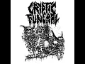 Life Beyond the Grave
