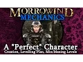 A Perfect Character - Morrowind Mechanics