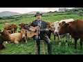 Lagu What if 'Hallelujah' was an Irish Folk Song?