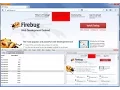 How To Firebug for CSS