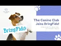 Travel Made Easy for Dog Owners The Canine Club Joins BringFido