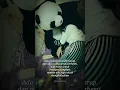 Sudah tak cinta cover tri suaka //vlog story wa terbaru