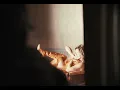 Shania Twain - Quit My Life (Visualizer)