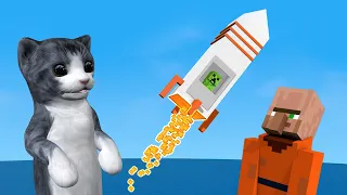 A cat and a rocket launch in Minecraft – Animation