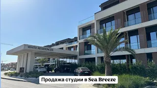 Продажа студии в Sea Breeze
