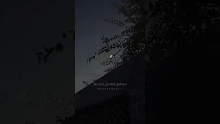 اى حاجة تيجي من ريحة الحبايب 