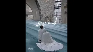 بدون موسيقي أنشودة أنيسه روحي للمنشد زياد أيمن 