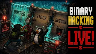 BINARY EXPLOITATION LIVE Memory Hacking Binary Challenges