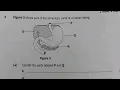 2022 G12 Biology Paper 2 Question 3 - Answered