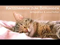 Download Lagu Katzenmusik zum Beruhigen | Beruhigungsmusik auch für alte Katzen mit Demenz | Einschlafmusik