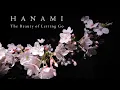 HANAMI The Beauty of Letting Go