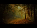 Helios - Halving The Compass
