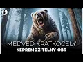 Download Lagu Medvěd Krátkočelý: Nepřemožitelný obr | Dokument - Pravěk