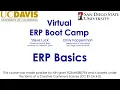 ERP Basics 1 - The EEG