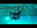 WPI Projects Pivot