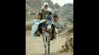 نحن بالاسلام كنا بخير ولله الحمد 