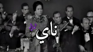 عندما أبدع سيد سالم في صولو الناي وأبهر أم كلثوم وقالت إيه ده 