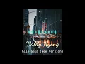 Download Lagu GALA-GALA_ H.Rhoma Irama l Cover Valdy Nyong ( New Version)