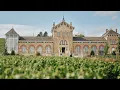 Moet Chandon Harvest Experience 2025 Celebrating the 282nd Harvest with the Moet Talent Club