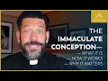 Understanding the Theology of the Immaculate Conception