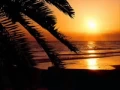 Download Lagu Dj Dado - Coming Back (Dance Anni 90)