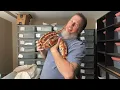 How to Handle a Blood Python