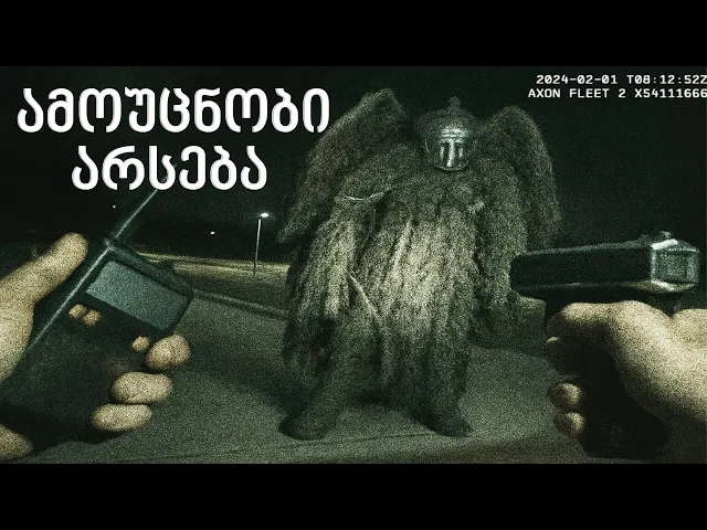 ყველაზე საშიში შემთხვევები , რომლებიც პოლიციის კამერებმა დააფიქსირეს !